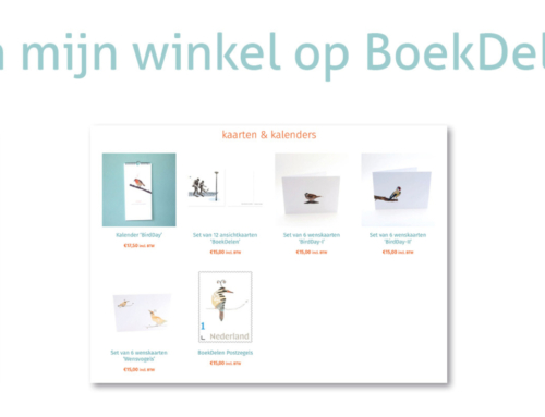 Welkom in mijn Winkel!