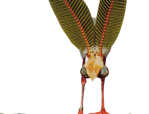 Solo-Expositie | Pakhuis Cuijk