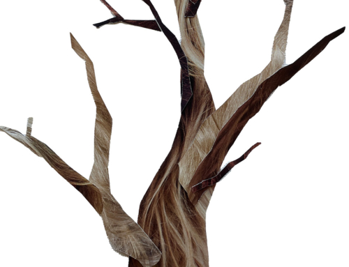 Workshop NatuurPortret 2025 | Try out