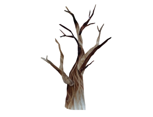 Workshop NatuurPortret 2026